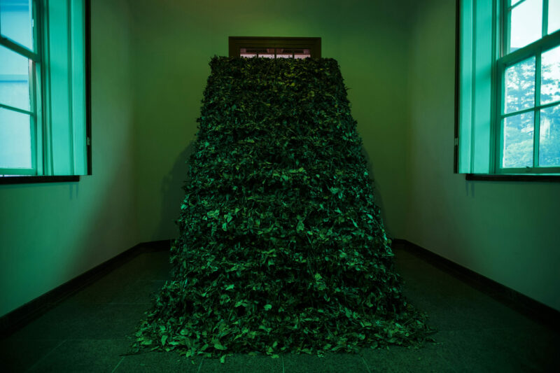 Instalação “Verde é o Verde”. Foto Marcelo Almeida