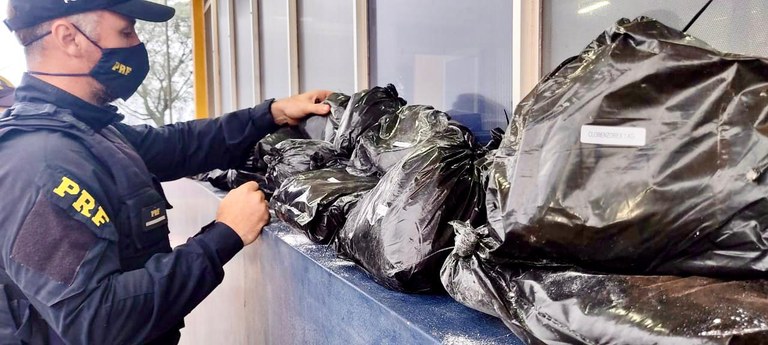 17155339-aa2b-41e7-92d2-d13fcc519ef2