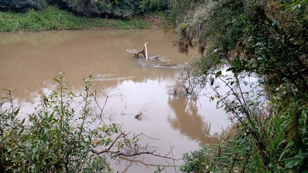 171eae73-567d-4000-90f4-232b29acd175