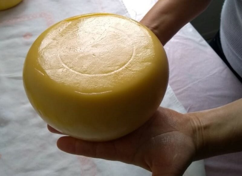 2509_QUEIJO-e1639079825714