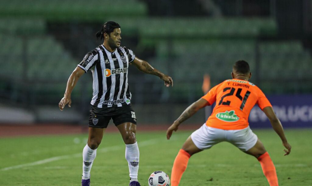 51130838078_8c9a4505bb_o-1