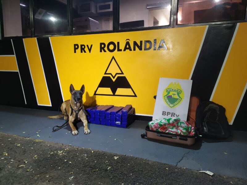 60fabf32b9d02-photo-2021-07-23-08-55-23-e1627060431220