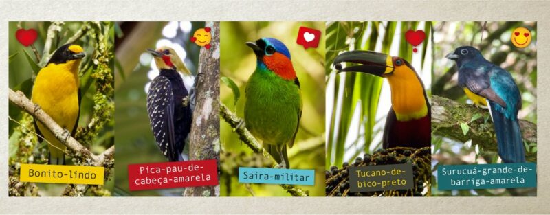Banner-largo-e1626209703517