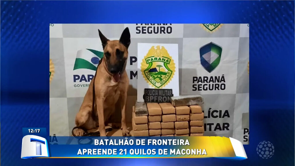 Batalhao-de-fronteira-apreende-maconha-em-cascavel