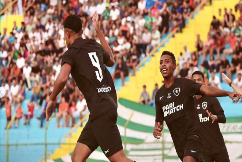 Botafogo-avança-copinha