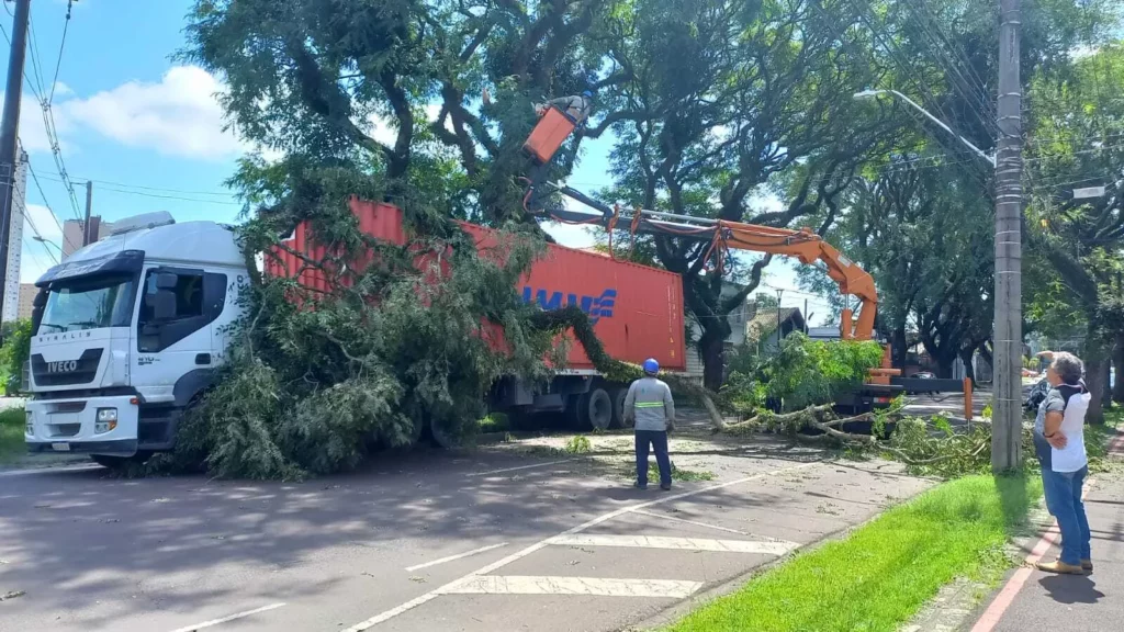 CAMINHAO-ARVORE-REBOUCAS-1