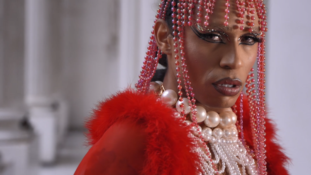 Frame-Siamese-Telas-foto-Willian-Klimepl