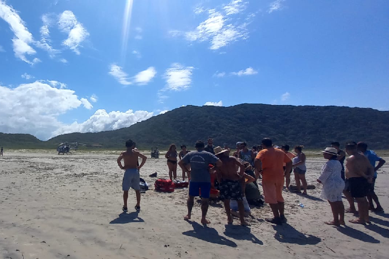 Novo-Projeto-2