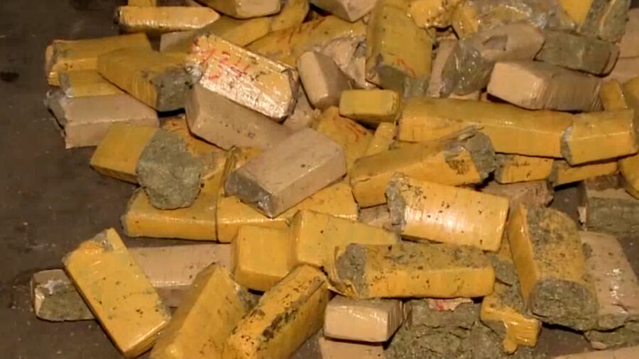 Policia-Civil-apreende-559-quilos-de-maconha-escondidos-em-pneus-.00_00_34_13.Quadro001-e1631821585836