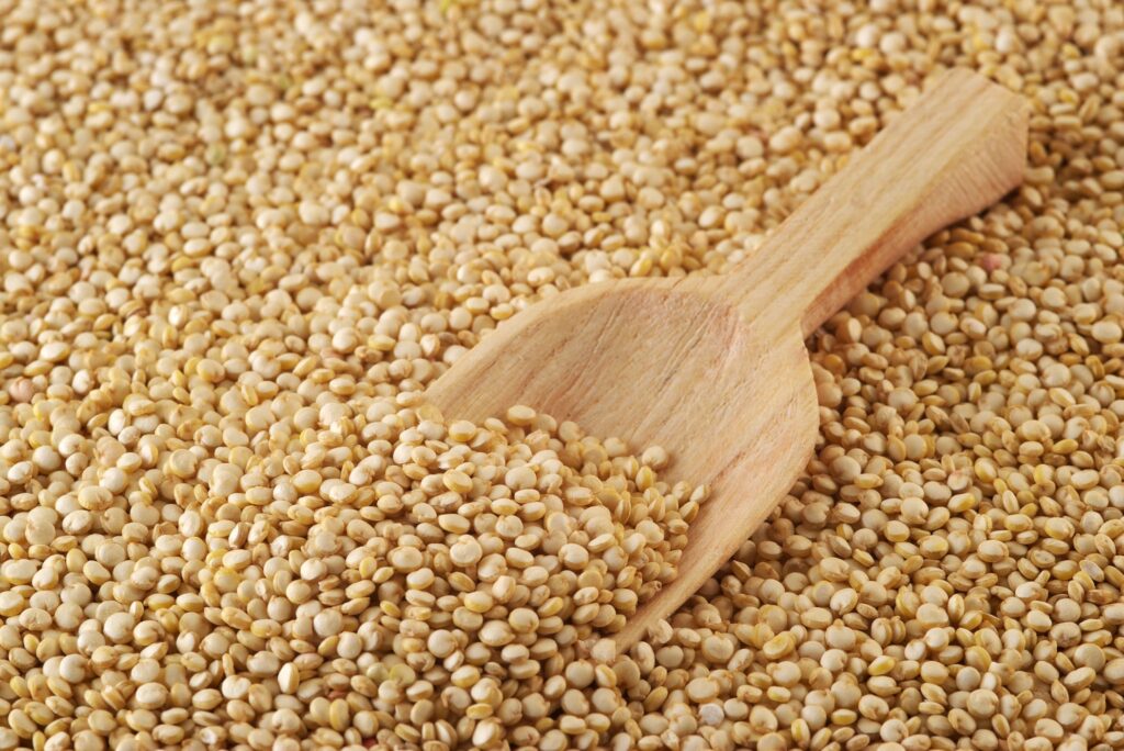 Quinoa-graos-Jasmine-Alimentos Quinoa-graos-Jasmine-Alimentos