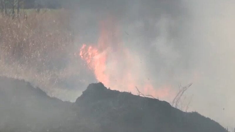 Testemunhas-afirmam-que-incendio-ambiental-seria-criminoso-.00_01_53_21.Quadro001-e1630442361537 Testemunhas-afirmam-que-incendio-ambiental-seria-criminoso-.00_01_53_21.Quadro001-e1630442361537