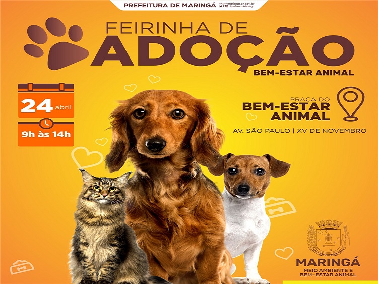 WhatsApp-Image-2021-04-24-at-08.56.12