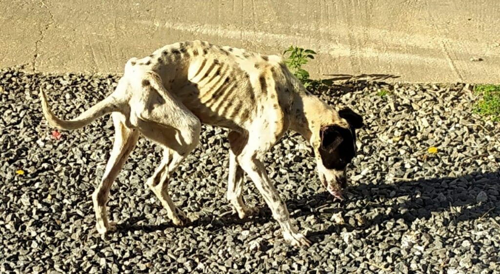 WhatsApp-Image-2021-05-12-at-12.12.22