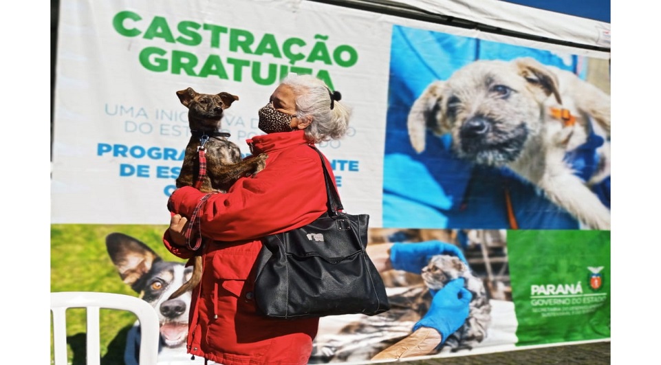 WhatsApp-Image-2021-05-25-at-16.41.26