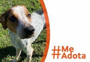 WhatsApp-Image-2021-06-09-at-12.37.52-e1623263044292