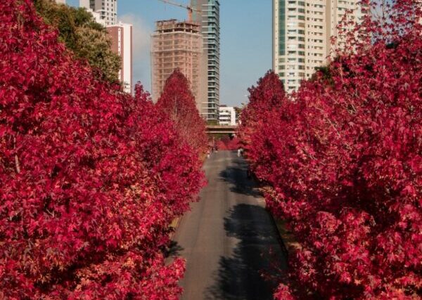 WhatsApp-Image-2021-06-16-at-16.19.49-e1623954920162