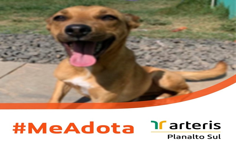 WhatsApp-Image-2021-06-18-at-14.00.19