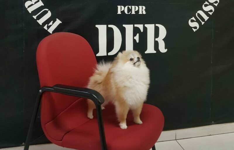 WhatsApp-Image-2021-06-23-at-11.30.08-e1624475479937