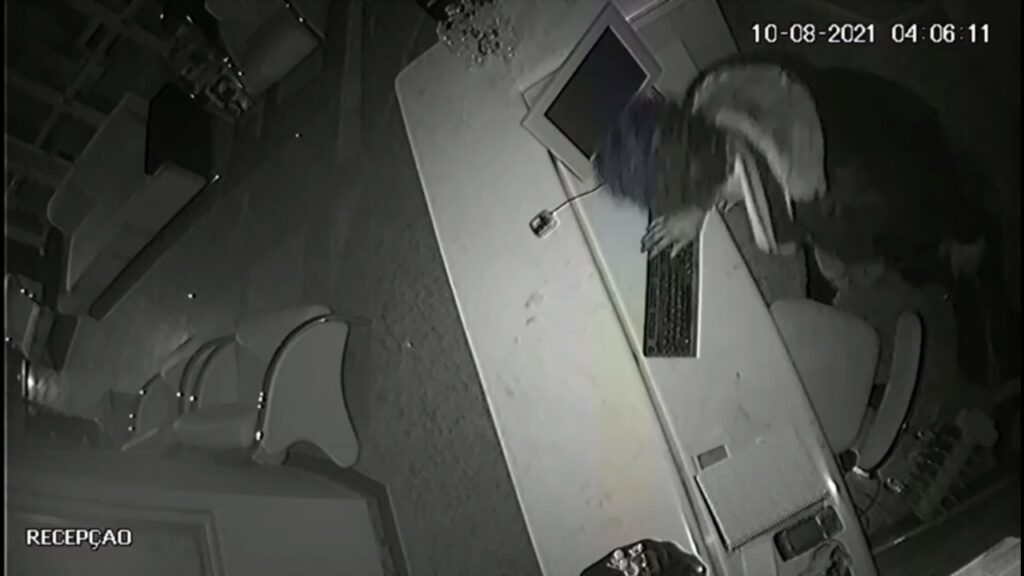 WhatsApp-Image-2021-08-12-at-08.26.24