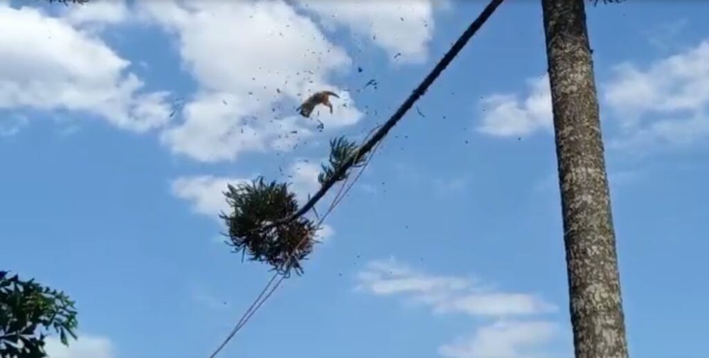 WhatsApp-Image-2021-08-24-at-12.38.57