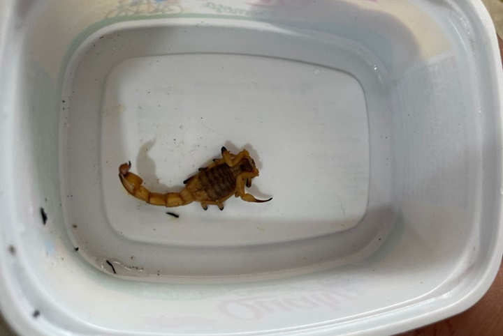 WhatsApp-Image-2021-08-26-at-15.53.001