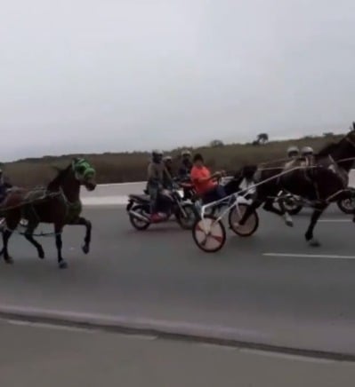 WhatsApp-Image-2021-09-01-at-11.15.45