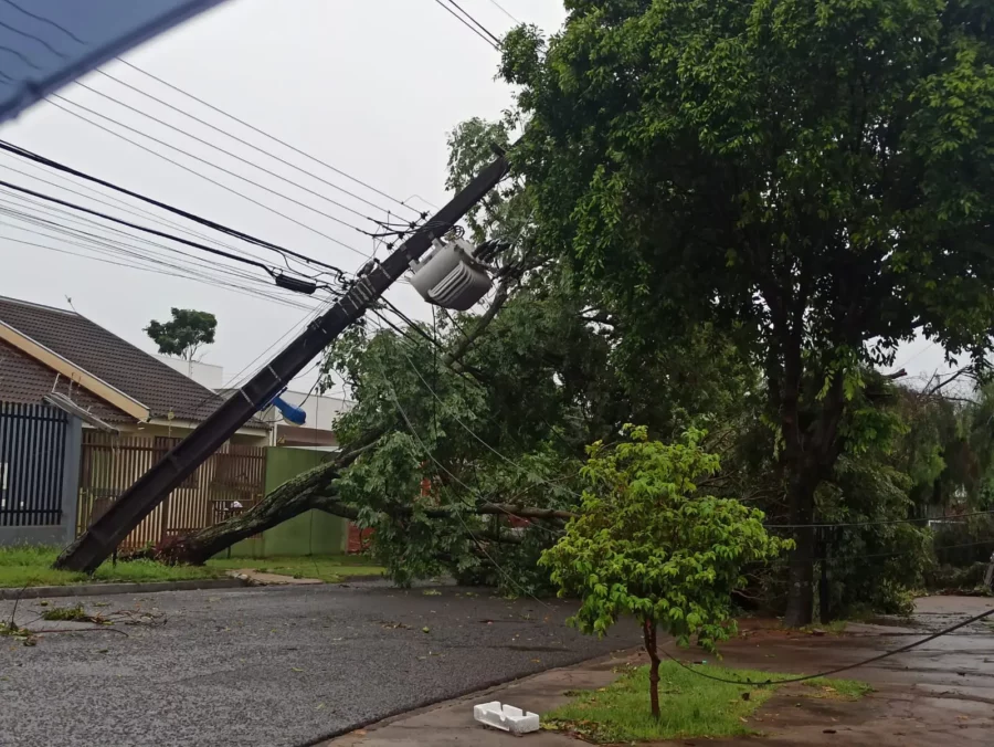 WhatsApp-Image-2021-10-07-at-07.35.00-e1633634862283