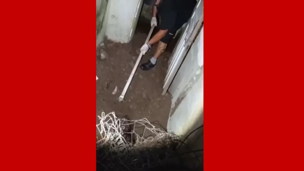 WhatsApp-Image-2023-03-02-at-08.41.49 corpo-enterrado-quintal