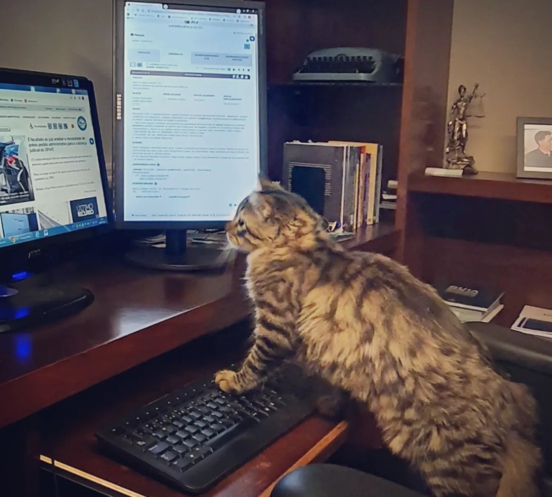 advogato-gato advogato-gato