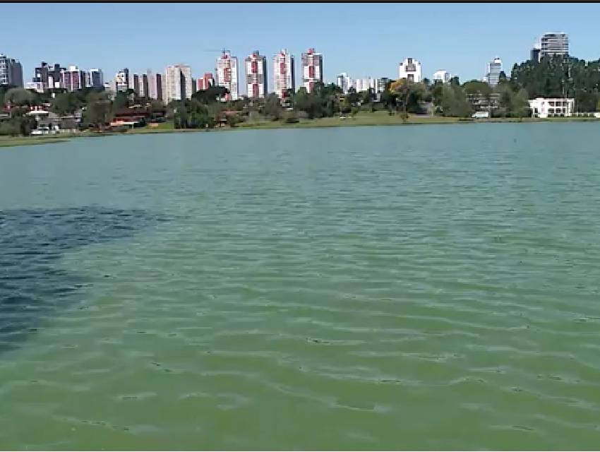 agua-verde-lago-barigui agua-verde-lago-barigui