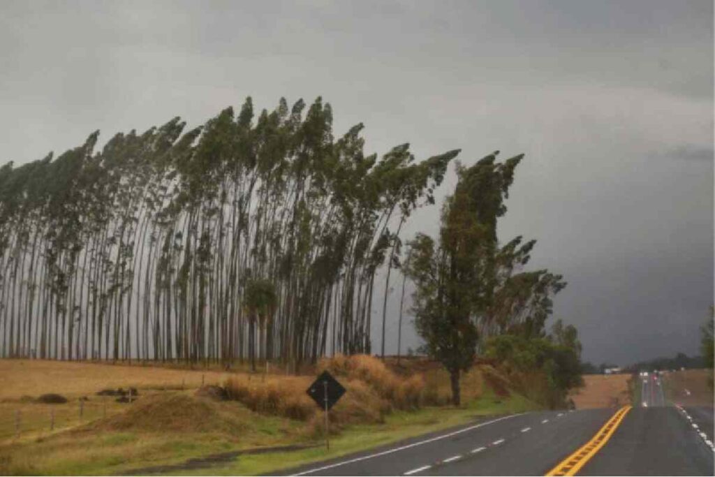 alerta-de-tempestade-regiao-sul alerta-de-tempestade-regiao-sul