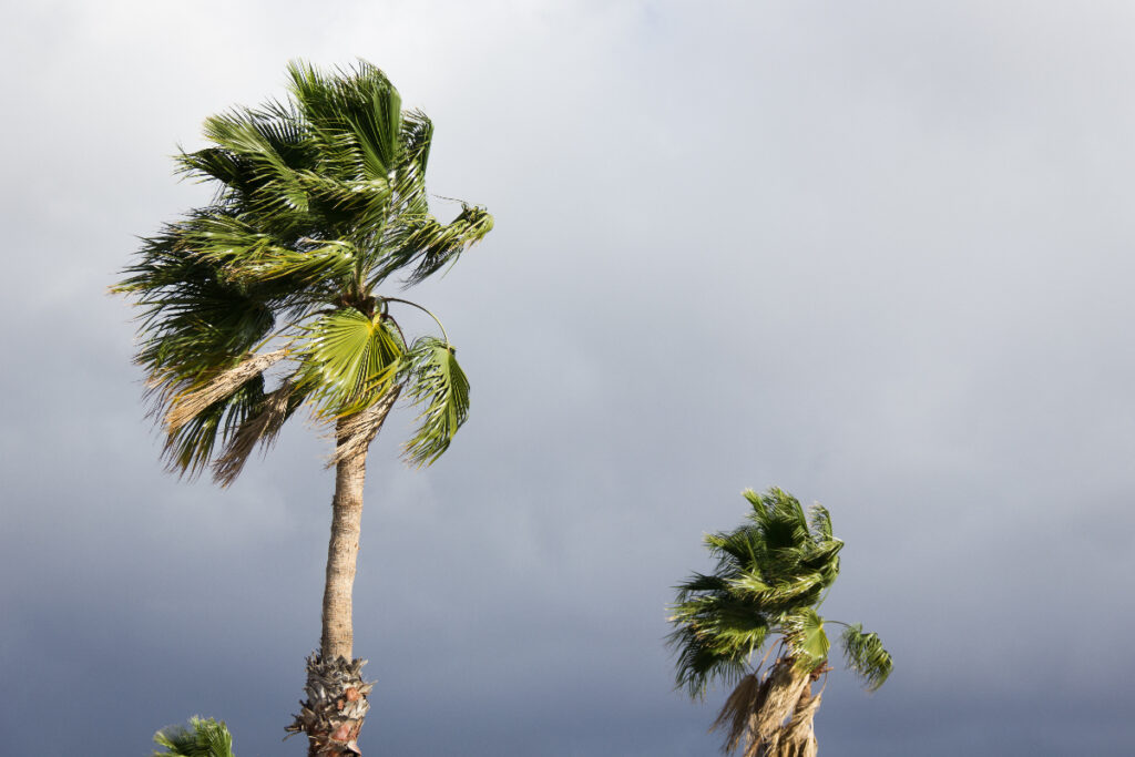 alerta-de-vendaval-hoje alerta-de-vendaval-hoje