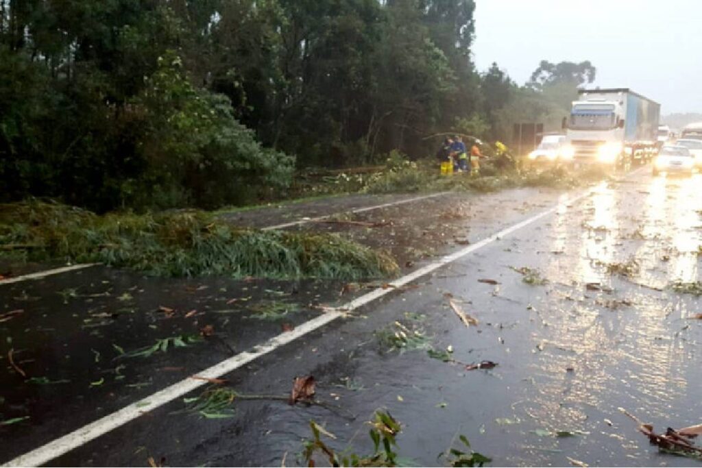 alerta-laranja-tempestade-vendaval-parana alerta-laranja-tempestade-vendaval-parana