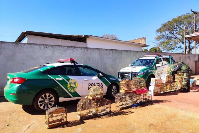 ambiental1-e1627828613445