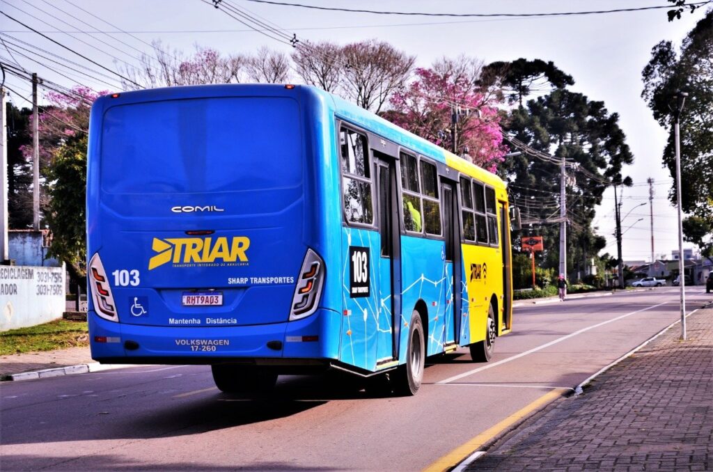 araucaria-transporte-gratuito
