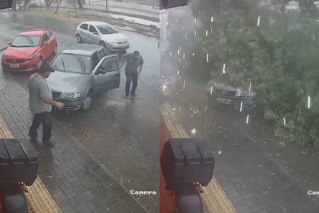 arvore-cai-em-cima-de-carro arvore-cai-em-cima-de-carro