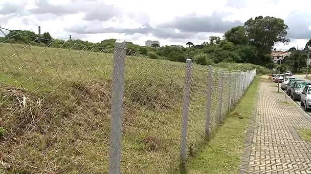 ataque-cachorros-curitiba