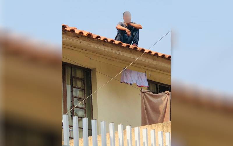 baleado-pinhais