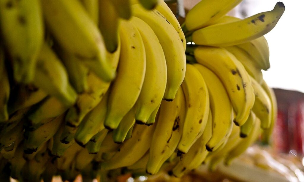 banana-agenciabrasil_5