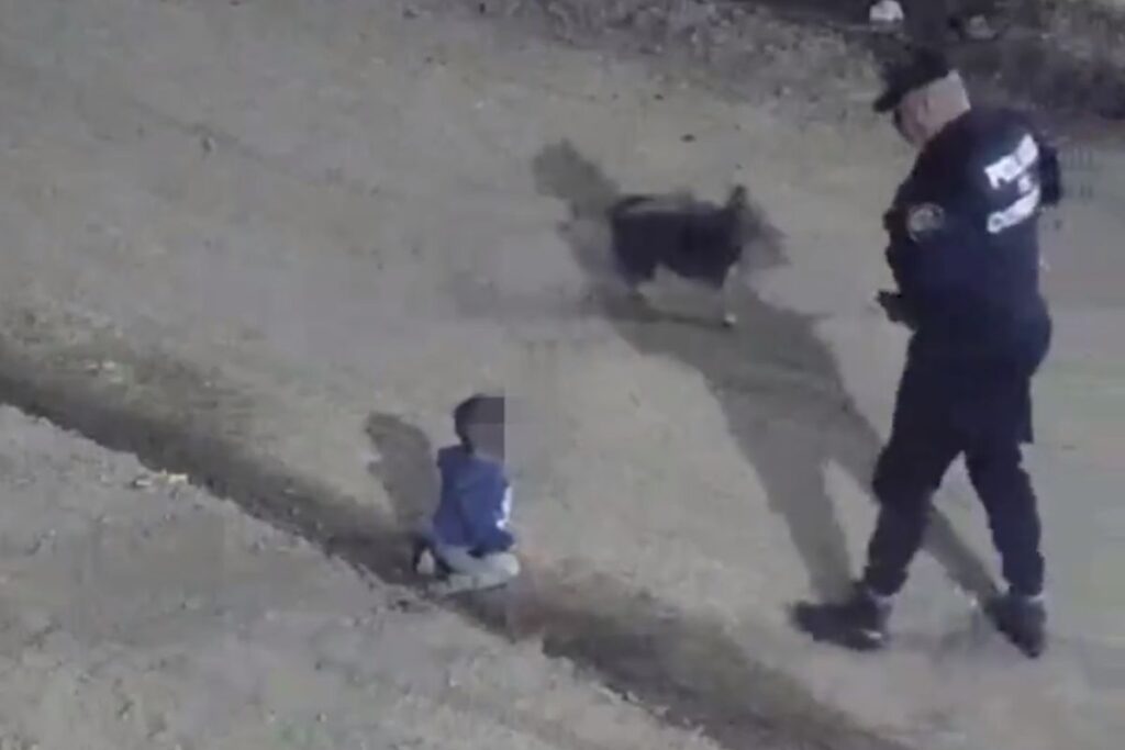 bebe-encontrado-sozinho bebe-encontrado-sozinho