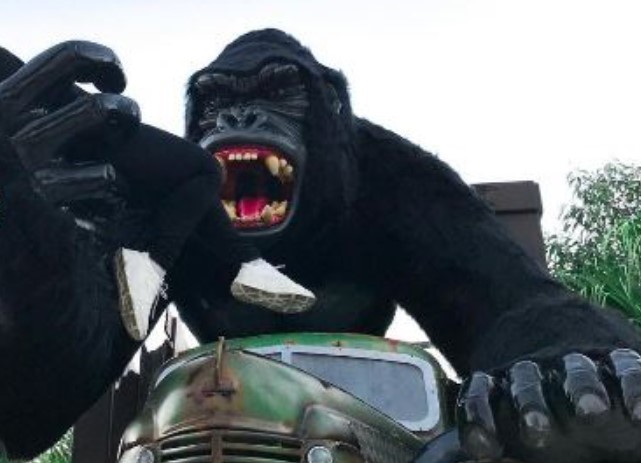 betocarrero-crianca-sc