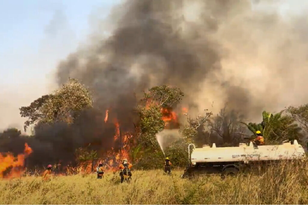 bombeiros-pantanal-incendios-parana