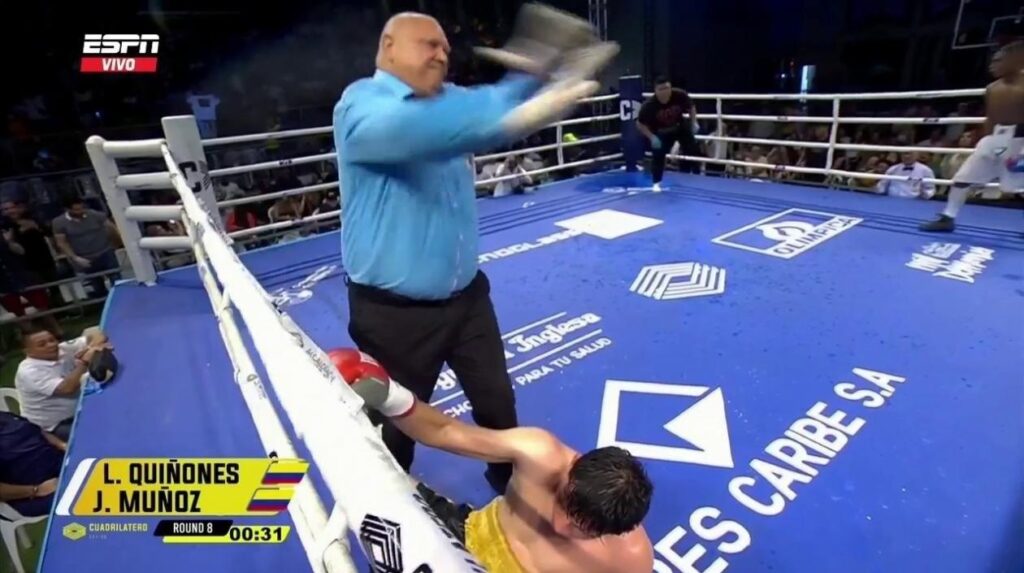 boxeador boxeador