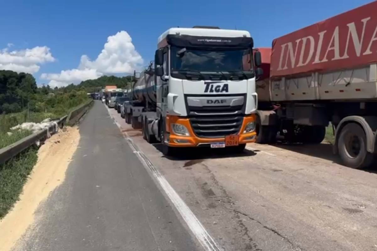 Br 277 é Liberada Em Balsa Nova Após Acidente Com Sete Veículos