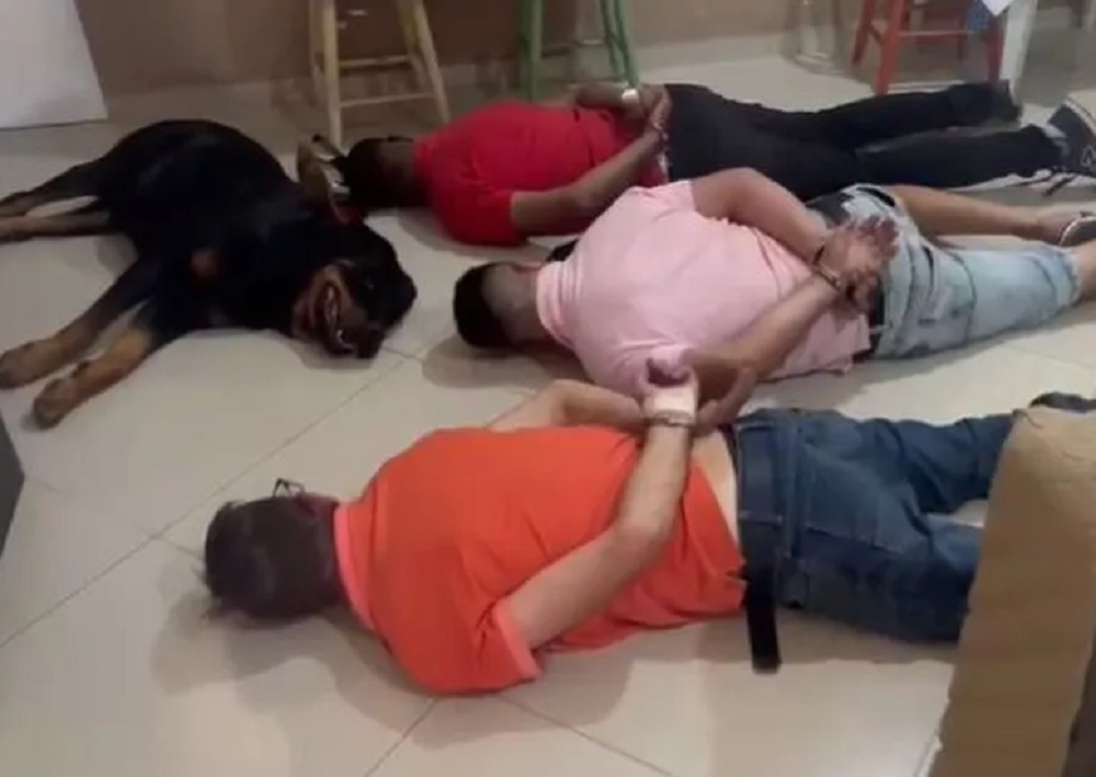 cao-preso cao-preso