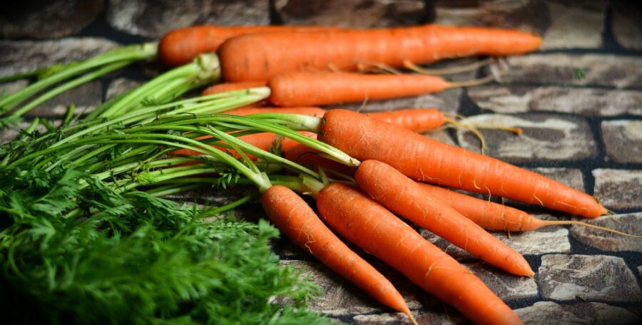 carrots-2387394_1920-e1626893045327