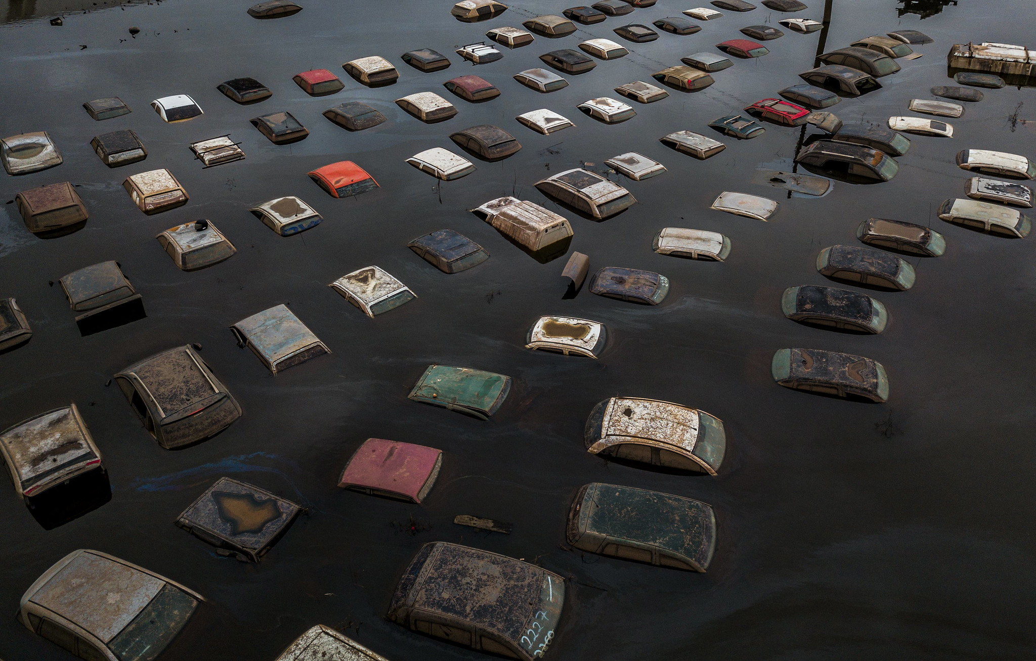 cemiterio-carros-imagens-porto-alegre