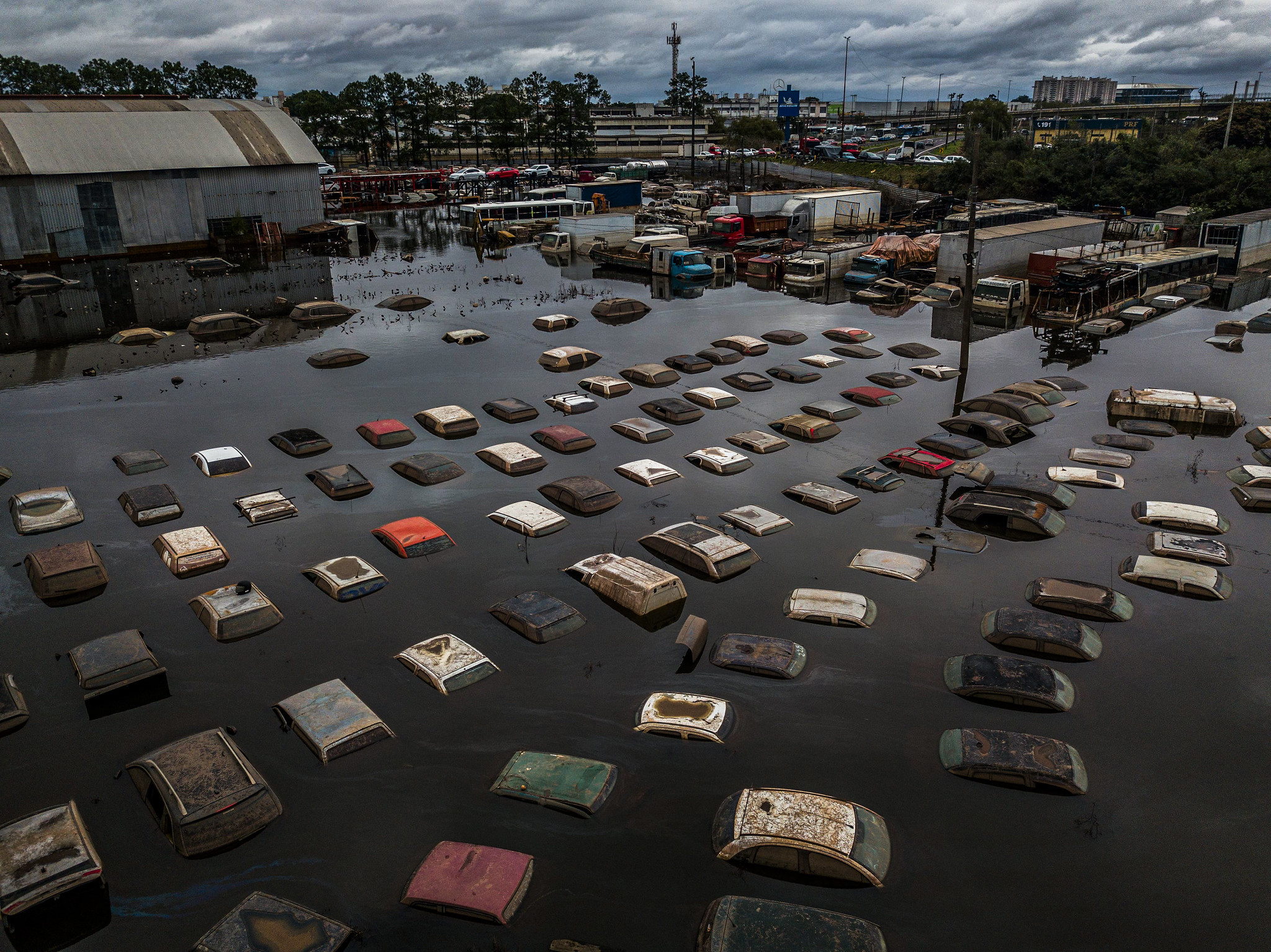 cemiterio-carros-porto-alegre-imagens