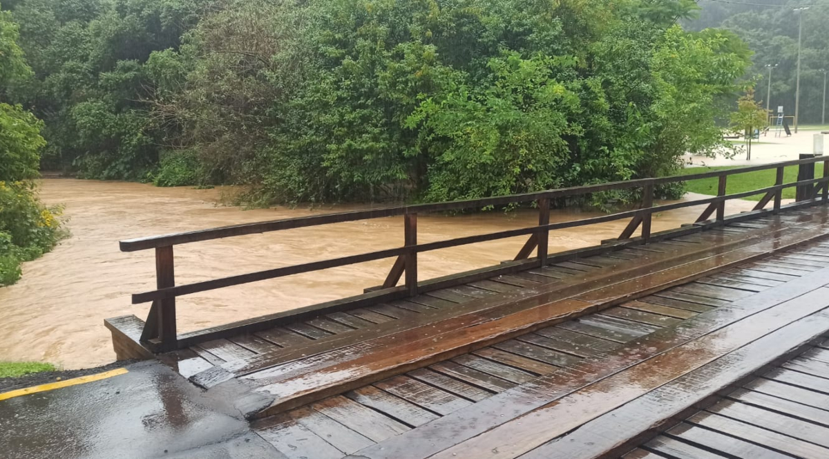 chuva-parque-tingui
