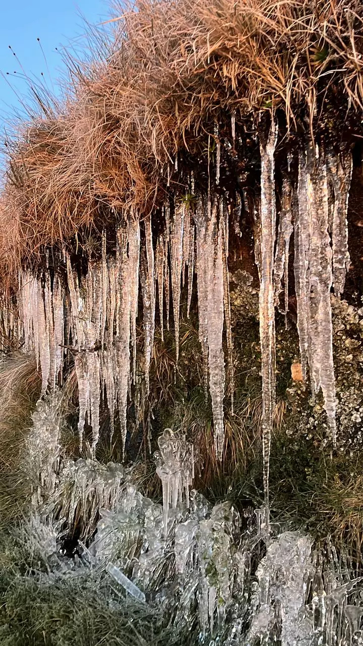 cidade-mais-fria-do-brasil-urupema